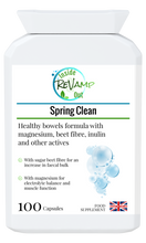 Load image into Gallery viewer, Spring Clean